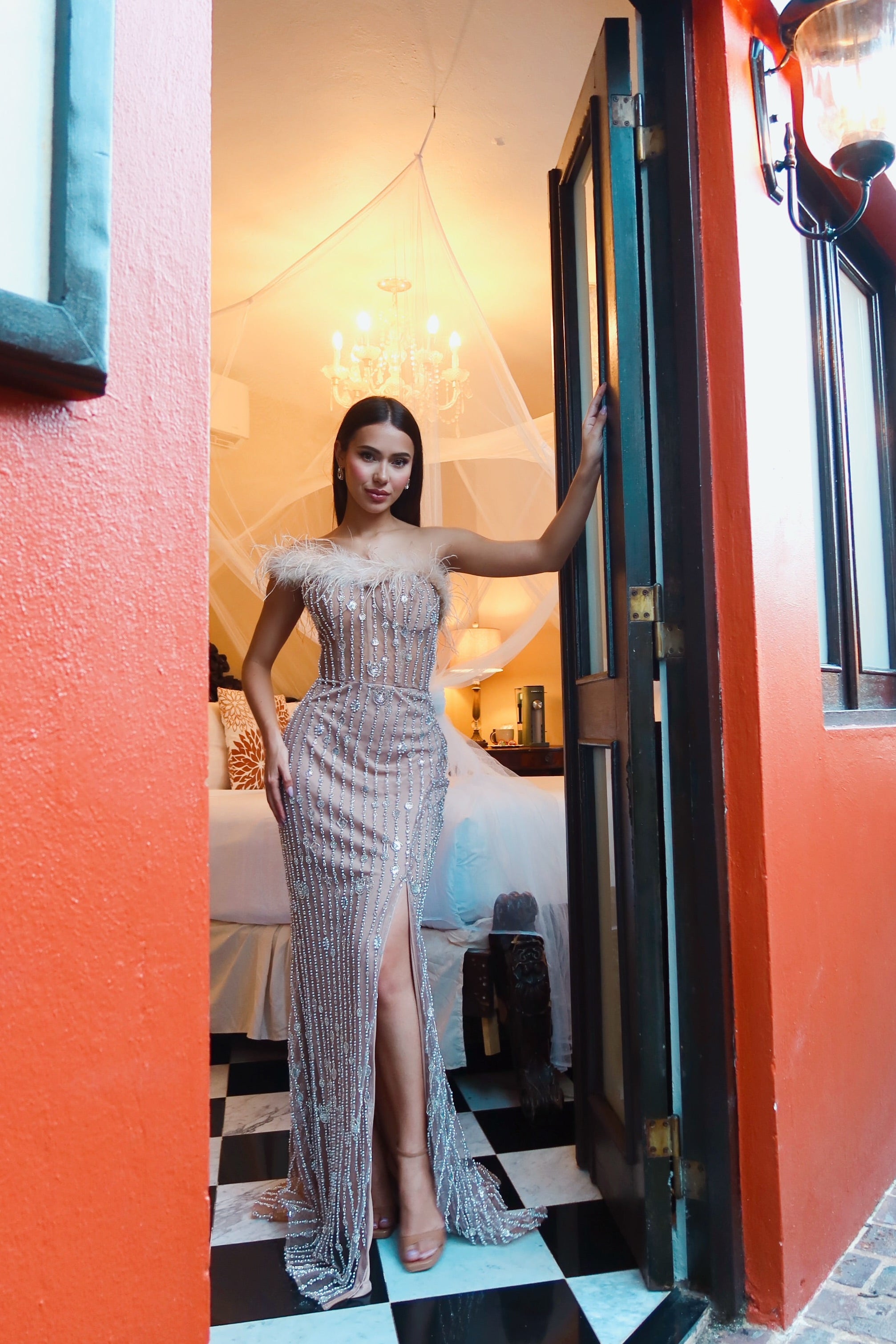 FEATHERED ALLURE DRESS